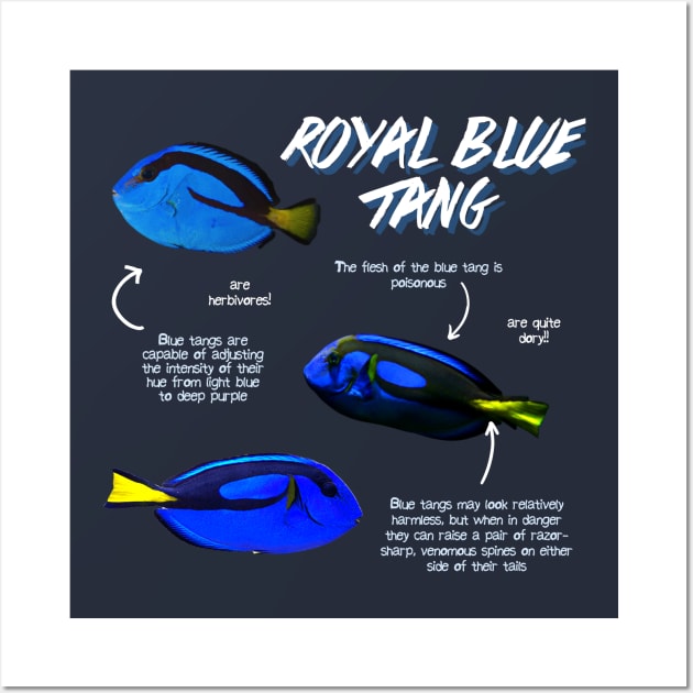 Royal Blue Tang Wall Art by Animal Facts and Trivias